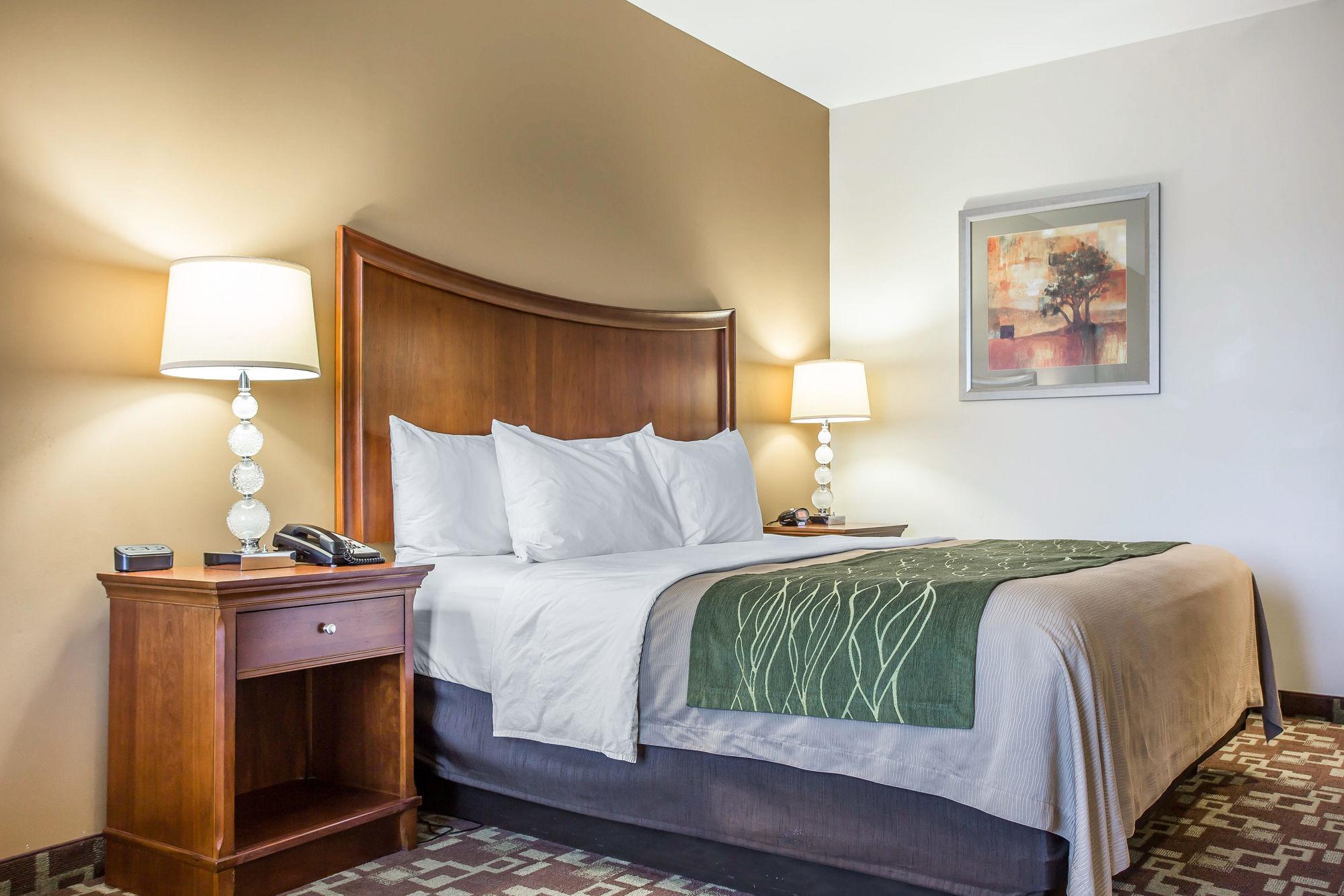 Comfort Inn & Suites Orangeburg Dış mekan fotoğraf